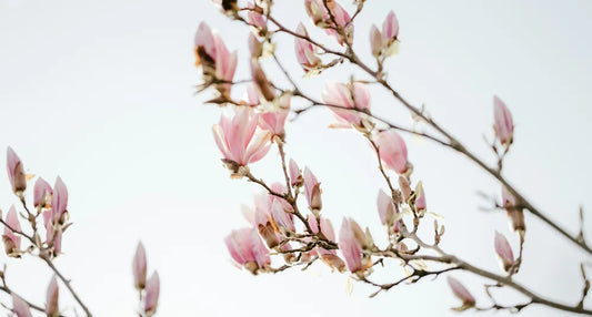Frühlingsstart mit Filz – Frische Farben für dein Zuhause 🌸