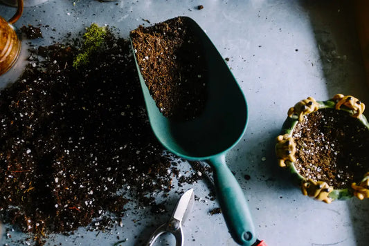 Urban Gardening